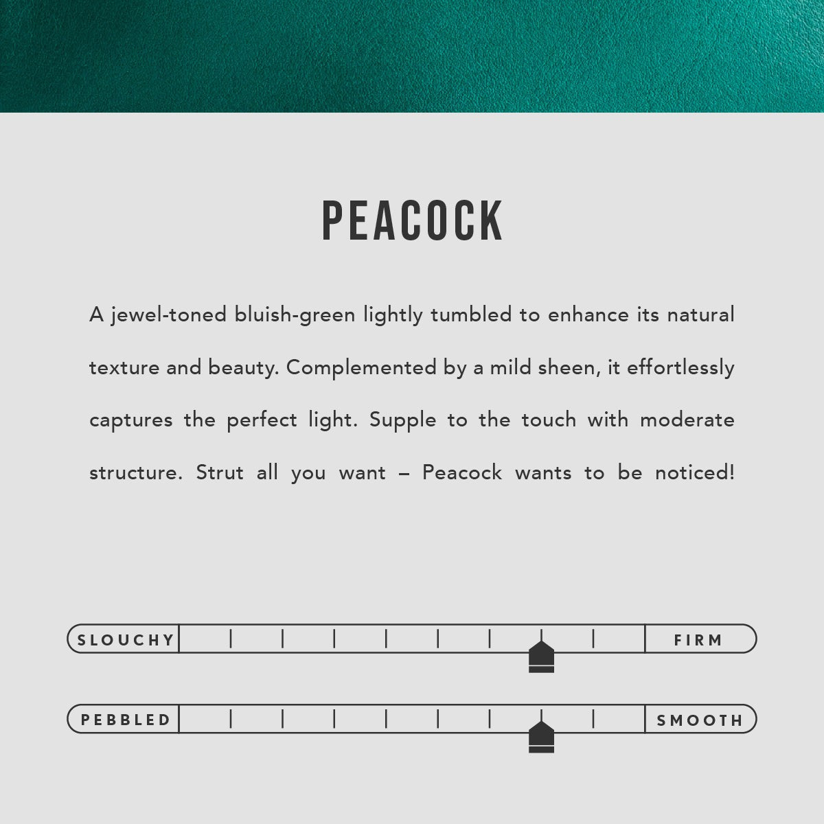 Almost Perfect' Leather Modern Passport Holder