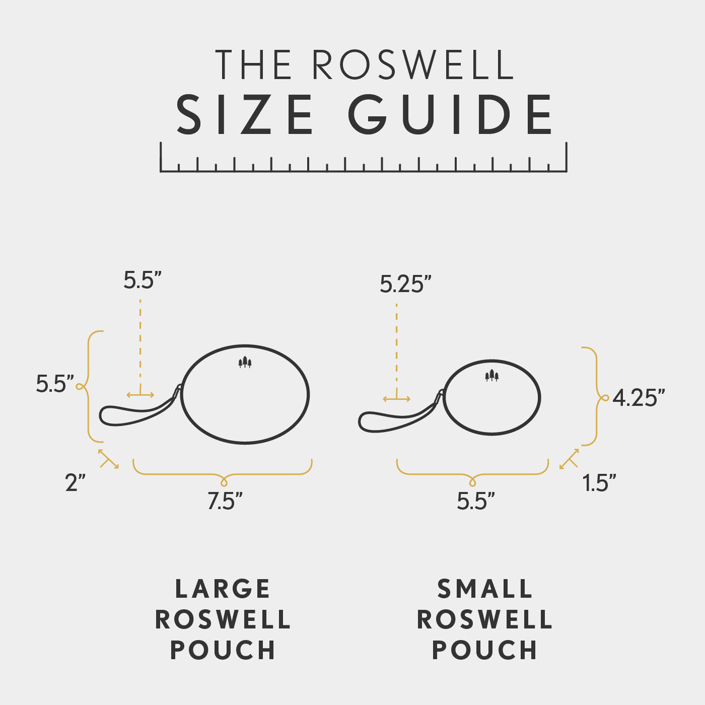 Almost Perfect' Roswell Pouch