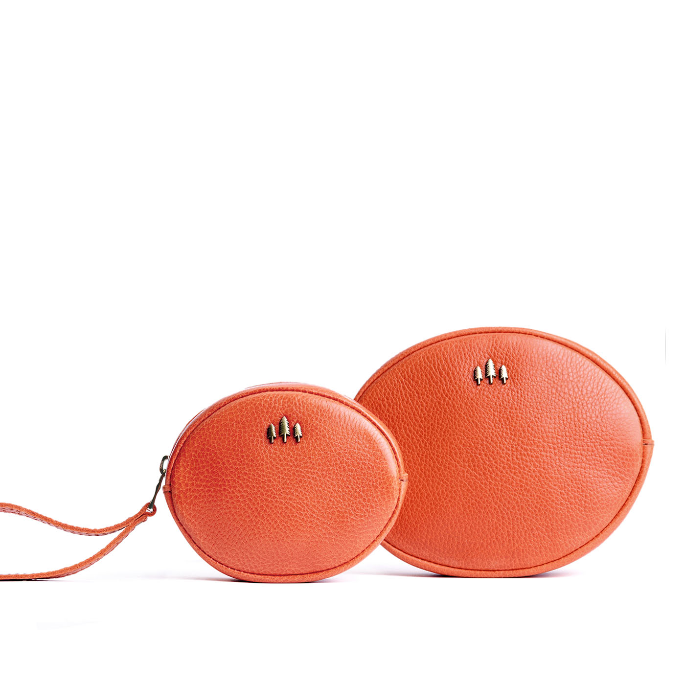 Almost Perfect' Roswell Pouch